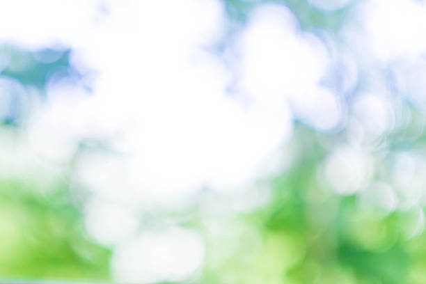 istock Natural Spring Green and Blue background with abstract defocused 181934213