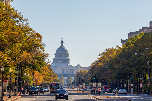 Washington, DC - October 29, 2023: United States Capitol Building on a sunny day with autumn foliage, Capitol Hill, Washington DC