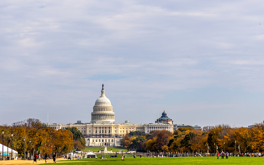 Washington, DC - October 29, 2023: United States Capitol Building on a sunny day with autumn foliage, Capitol Hill, Washington DC