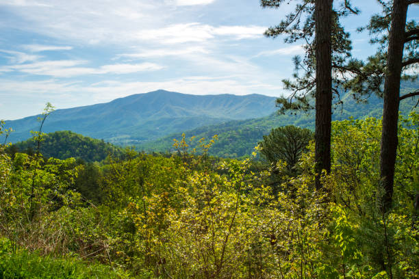 Scenery of Foothills Parkway in Spring, Great Smoky Mountains National Park, USA