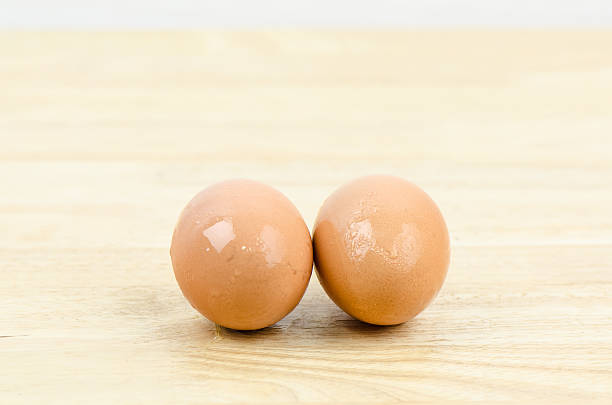 Wet egg stock photo