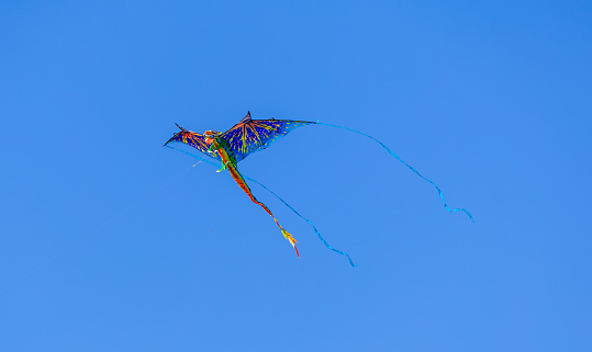 Albuquerque, New Mexico - October 7, 2023: International Hot Air Balloon Fiesta in Albuquerque, New Mexico. Skydiving show.