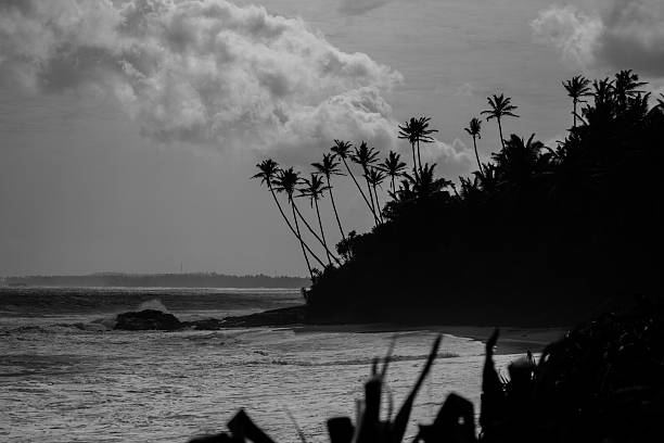 istock Beach in black and white - Sri Lanka 181937542