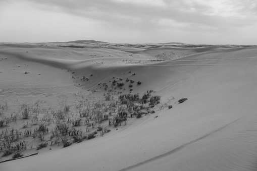 Badain Jaran Desert, the third largest desert in China, located in Inner Mongolia, China. Horizontal background with copy space for text, black and white picture