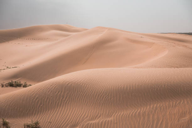 istock Beautiful untouched sand dunes in Inner Mongolia, China 1819377789