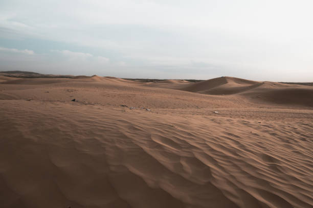 istock Close up background on the desert sand in Inner Mongolia, China. 1819379399