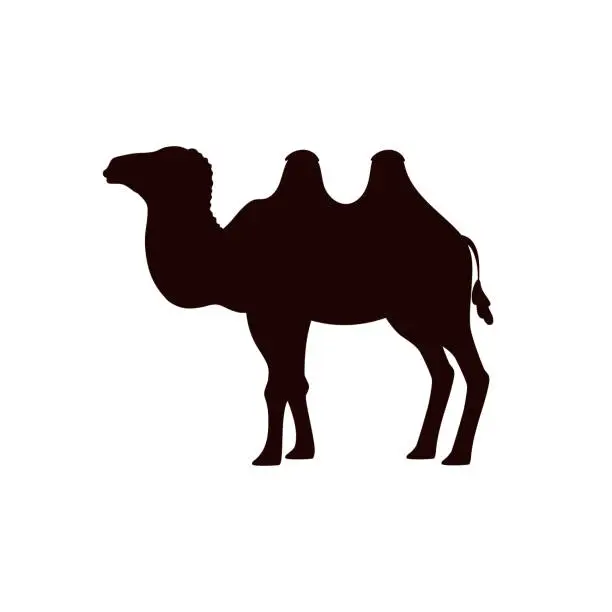 Vector illustration of Black silhouette of camel desert animal flat style, vector illustration