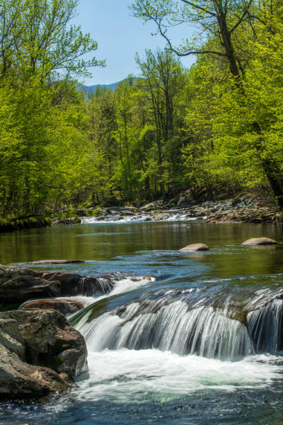 Waterfalls at Little Pigeon River