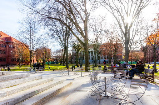 Cambridge, Massachusetts, USA - November 25, 2023: Visitors enjoying  Harvard Yard on a bright autumn afternoon. View from the Memorial Church patio, Sever Hall on the left and Widener Library in the background.