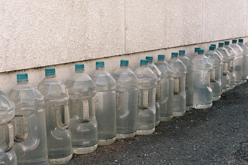 Old plastic bottles lined up along wall in order to keep cats away.