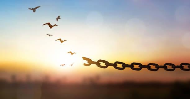 istock hope freedom concept, Bird flying and broken chains over blurred nature sunrise background 1819472812