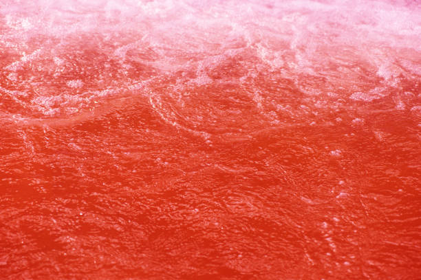 Close view of a clear ocean wave hitting a rugged rocky coastline creating spray and foam