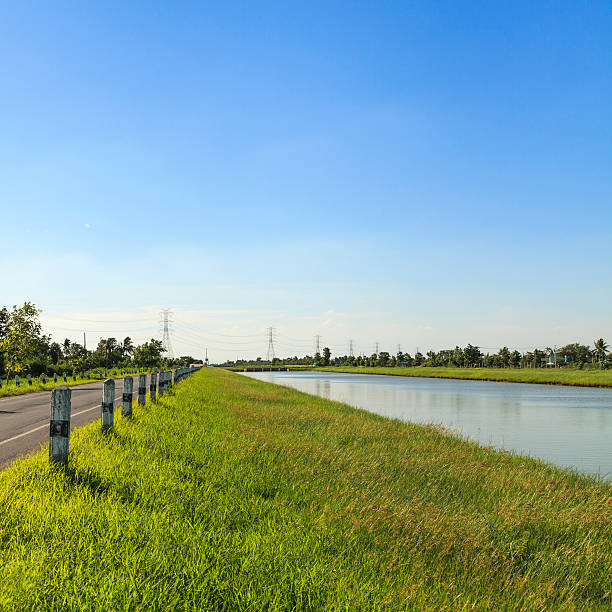 istock Summer landscape in the countryside with blue sky 181949880
