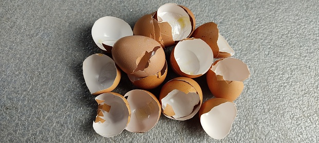 Brown color eggshell