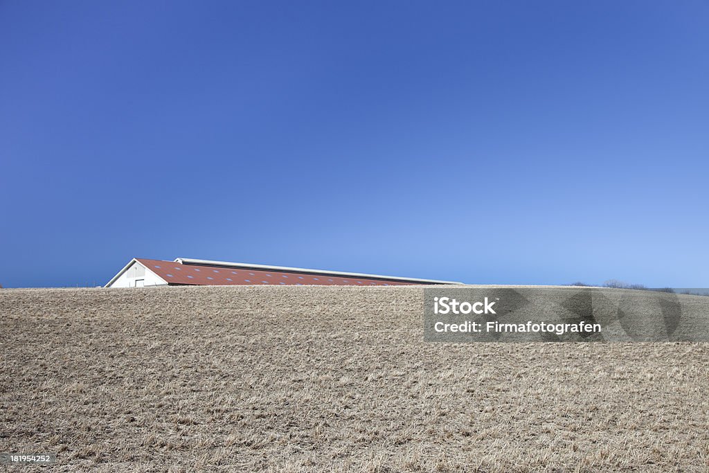 Field A farmers field in a summer with no rain for a long time. Agricultural Field Stock Photo