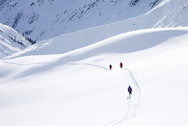 istock Ski Touring in the Mountains 181954310