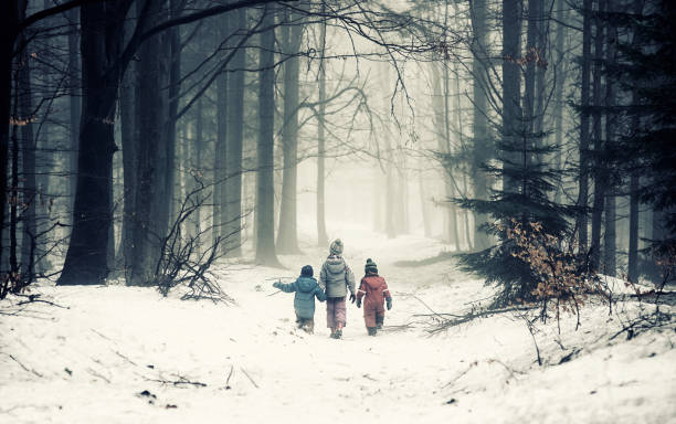 Kids in misty forest