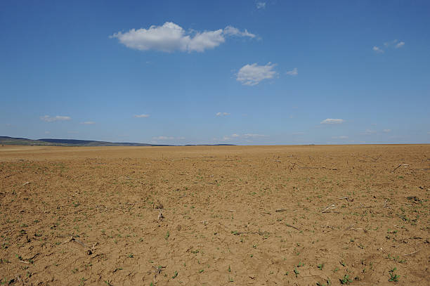 istock Agricultural land 181954445