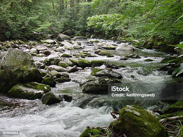 Photo libre de droit de Appalachian Torrent De La Montagne banque d'images et plus d'images libres de droit de Bois - Bois, Caillou, Canal - Eau vive