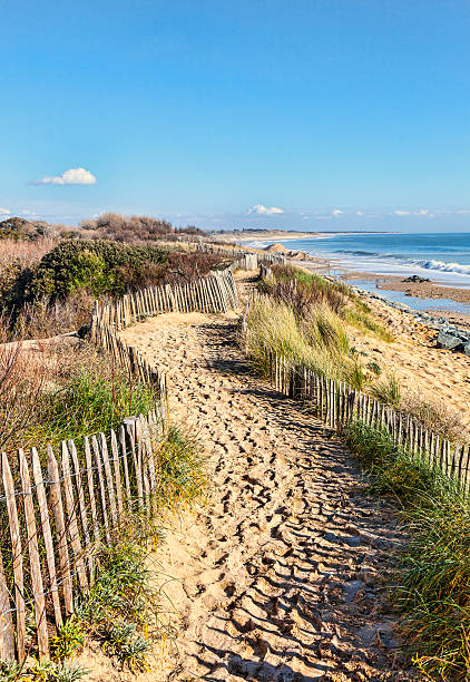 istock Footpath on the Atlantic Dune in Brittany 181954778