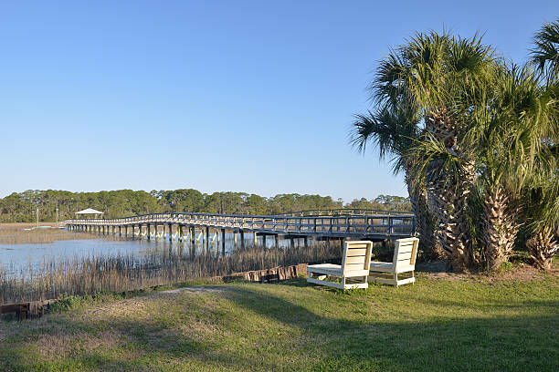 istock Scenery of Tybee Island 181955170