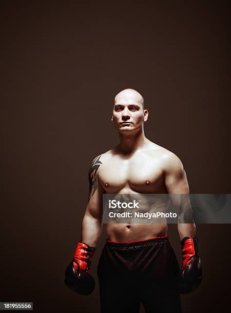 Boxer Em Pé No Escuro - Fotografias de stock e mais imagens de 20-29 Anos - 20-29 Anos, Adulto, Bonito - pessoa