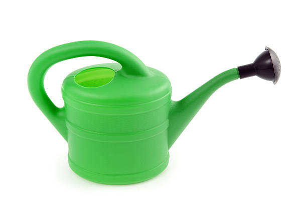 istock green water can on white isolated background 181956709