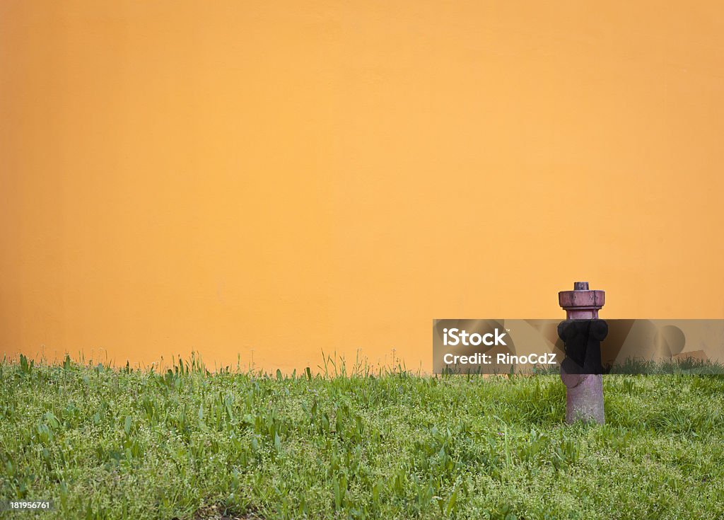 Pomarańczowe ściany, Hydrant i zielonej trawie - Zbiór zdjęć royalty-free (Architektura)