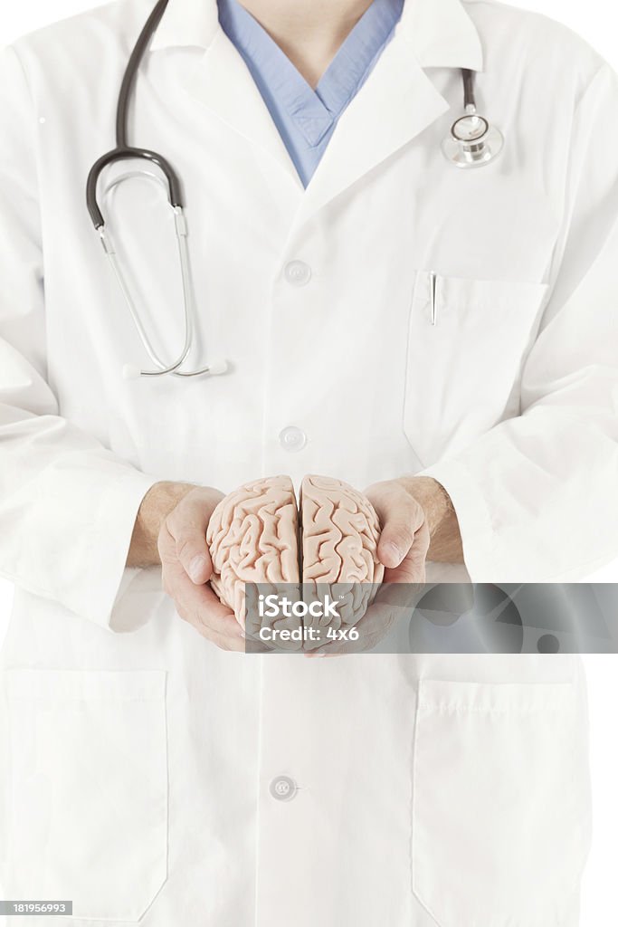 Medico tenendo un modello di cervello umano - Foto stock royalty-free di Modello dimostrativo