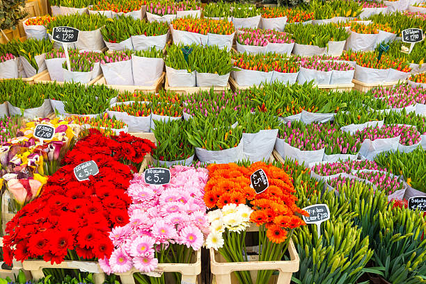 istock Flower Market, Amsterdam, Netherlands 181957154