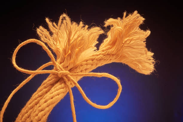 istock Ends of frayed rope bound together with a bow 1819571848
