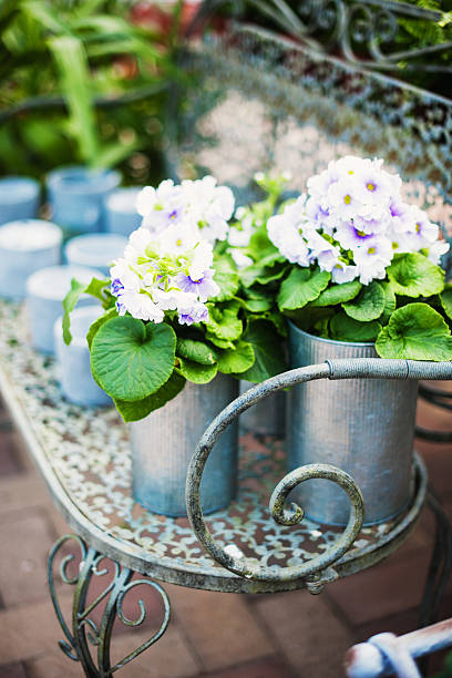 istock Potted plants in garden shop 181957202