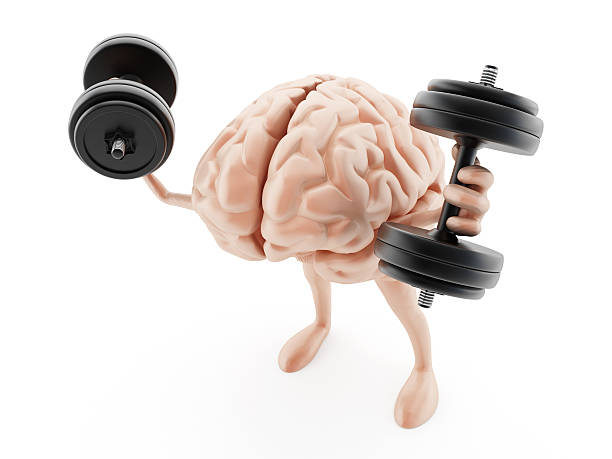 Strong brain Brain exercising with dumbells.Similar: cerebellum stock pictures, royalty-free photos & images