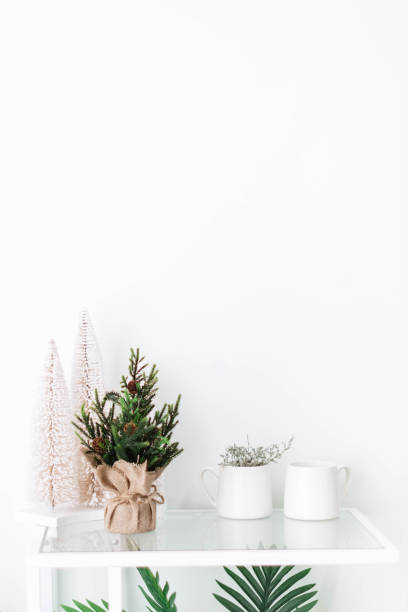 istock Empty White Living Room with Minimal Small Christmas Trees 1819573986