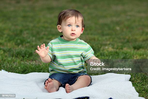 アラートの赤ちゃん - 1人のストックフォトや画像を多数ご用意 - 1人, カットアウト, カメラ目線