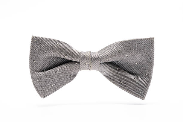 istock Isolated shot of silver bow tie on white background 181957657