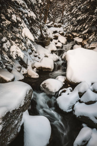 il fiume cutler scorre attraverso boschi innevati, tuckerman ravine - tuckerman ravine foto e immagini stock