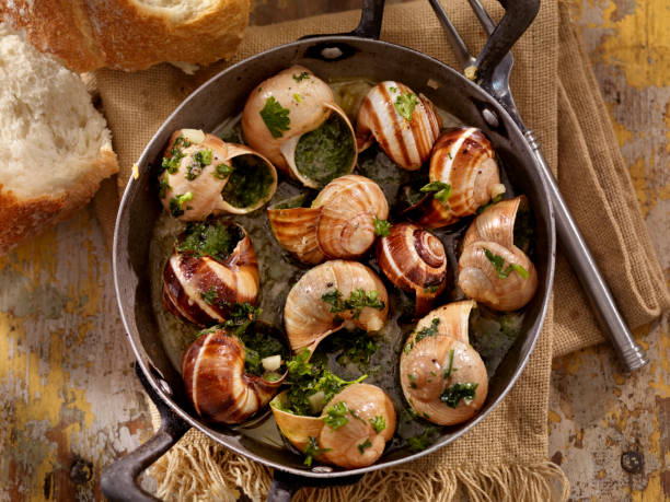 snail "Escargot in a Herb Butter, White Wine and Garlic Sauce with Fresh Parsley and Crusty French Bread -Photographed on Hasselblad H3D2-39mb Camera" snail stock pictures, royalty-free photos & images