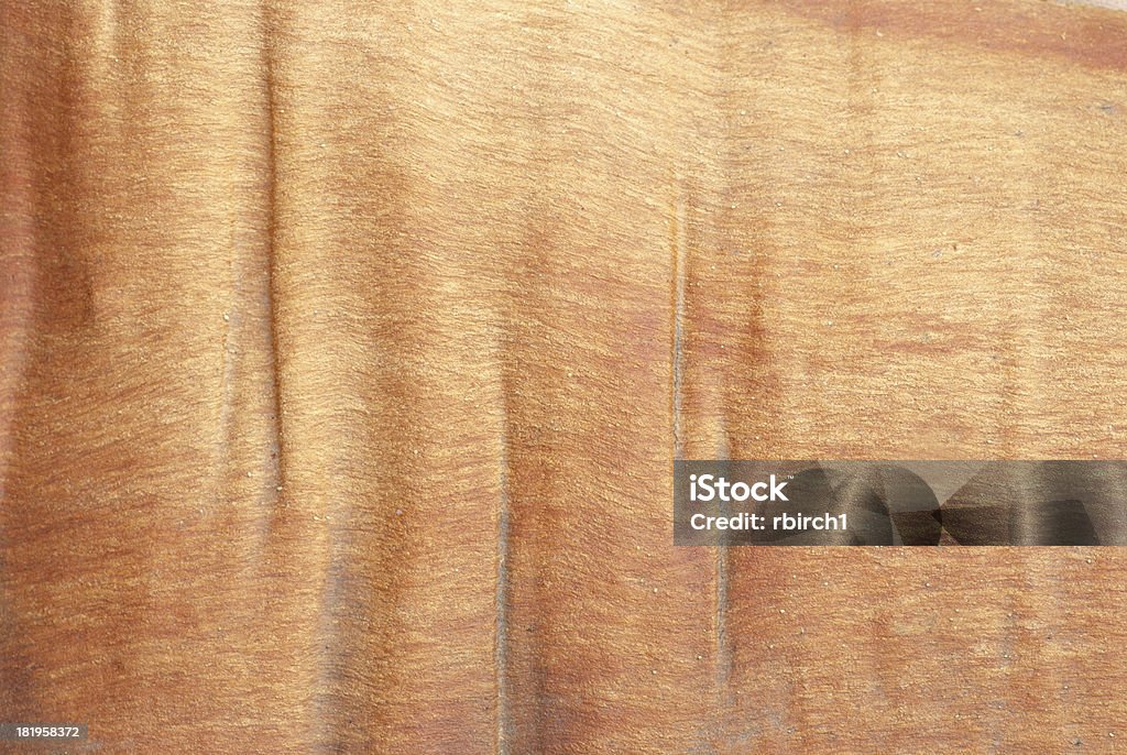 Glatte Baumrinde - Lizenzfrei Eukalyptusbaum Stock-Foto