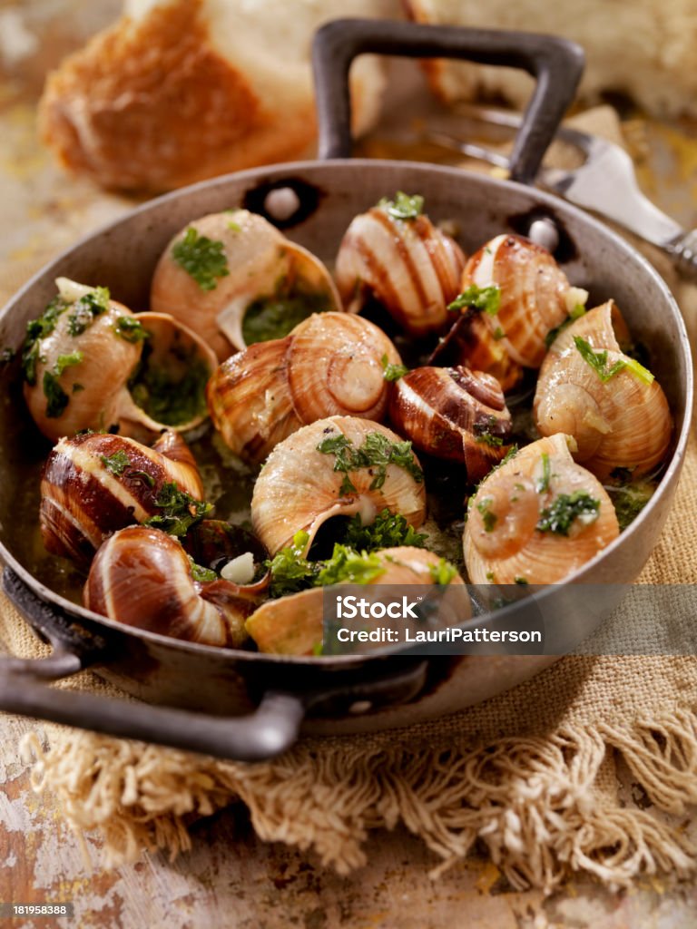 Schnecken - Lizenzfrei Schnecken Stock-Foto