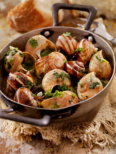 エスカルゴ - gourmet snail food escargot ストックフォトと画像
