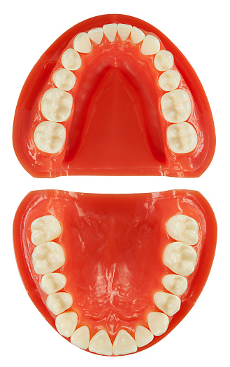 Close up of a dental implant model with clipping paths. Paths are need to be contracted ~5 px to use on different color. Two stitched images, cropped white areas and downsized to achieve the best possible result.