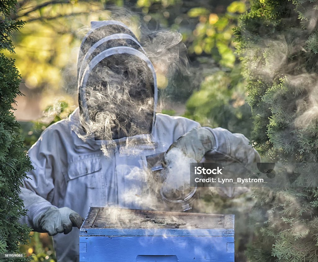 Apicultor un hive para fumadores - Foto de stock de Una persona libre de derechos