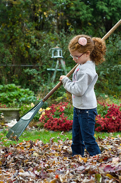 istock raking a pile of autumn leaves 181959904