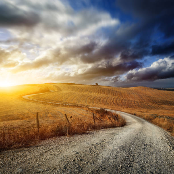Road through the fields of Tuscany Country road through the golden fields of Tuscany on sunset country road sky field cloudscape stock pictures, royalty-free photos & images