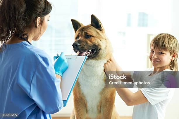 Лечение Pet Dog — стоковые фотографии и другие картинки 12-13 лет - 12-13 лет, 20-24 года, Больница