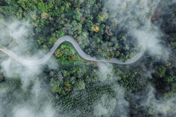 istock Forest road and morning fog, high angle 1819615275