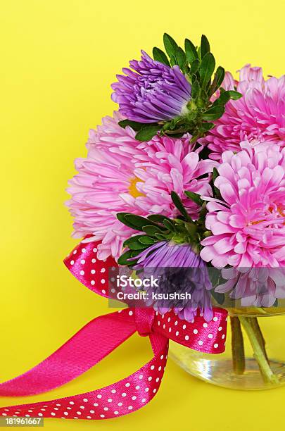 Asters On Yellow Background Stock Photo - Download Image Now - Aster, Autumn, Beauty In Nature