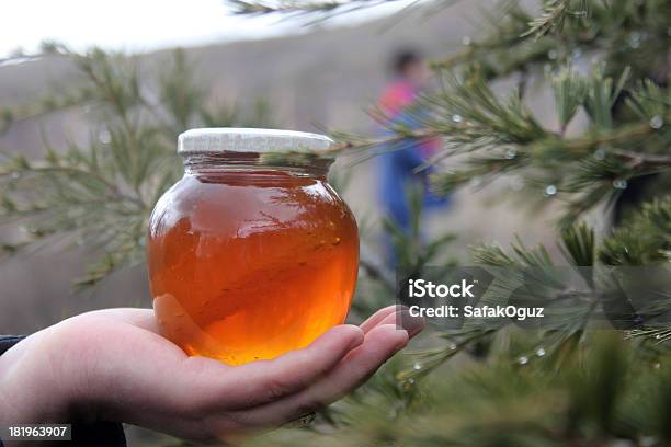 Honey Stockfoto und mehr Bilder von Alternative Behandlungsmethode - Alternative Behandlungsmethode, Baum, Behälter