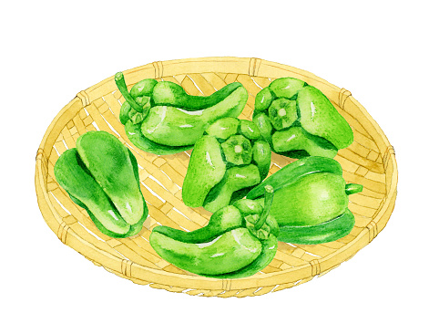 istock Set of green bell pepper. Collection of hand-drawn watercolor illustrations of summer vegetables. 1819663287